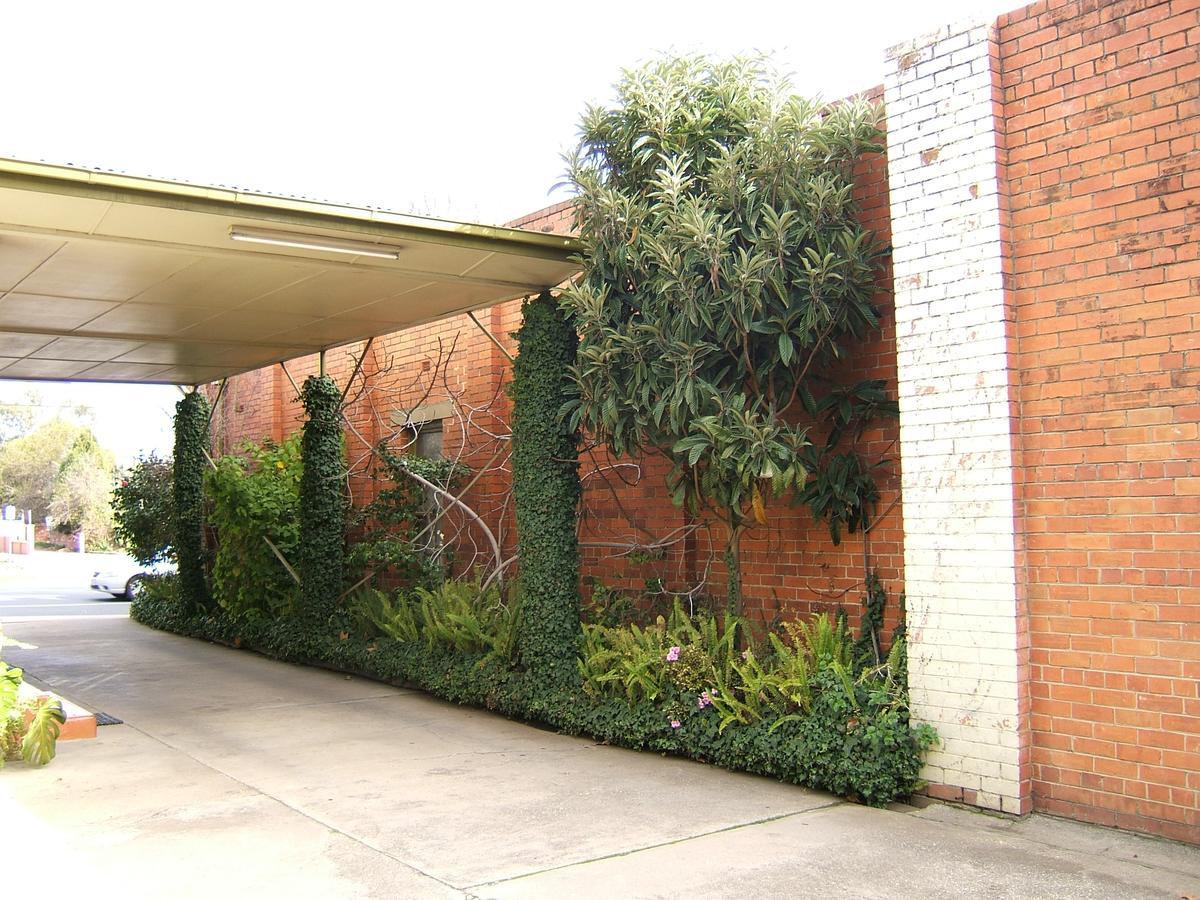 Clifton Motel Albury Exterior foto